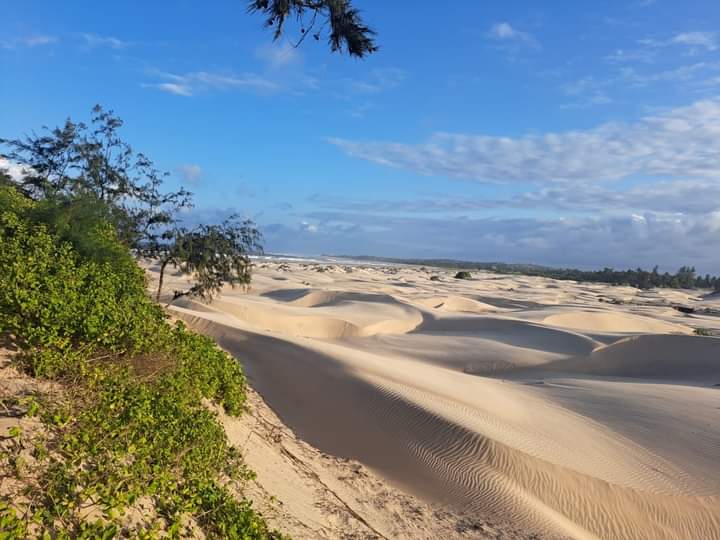 Land for sale in Mambrui Malindi Kenya Guinnesse Real Estate Agents