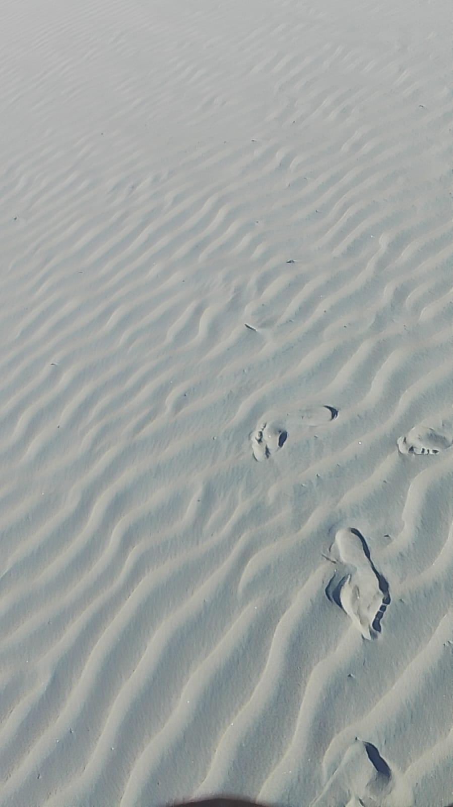 Land for sale in Mambrui Malindi Kenya Guinnesse Real Estate Agents